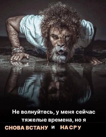 a? Не волнуйтесь, у меня сейчас тяжелые времена, ноя СНОВА ВСТАНУ И НАСРУ