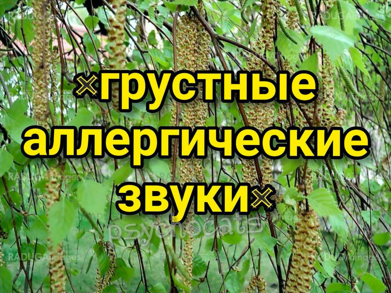 a и AN a i аллергич еск a звуких Nes