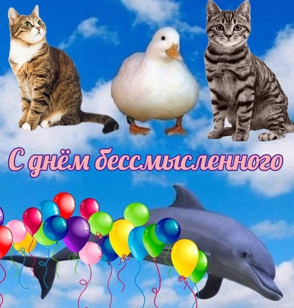 и