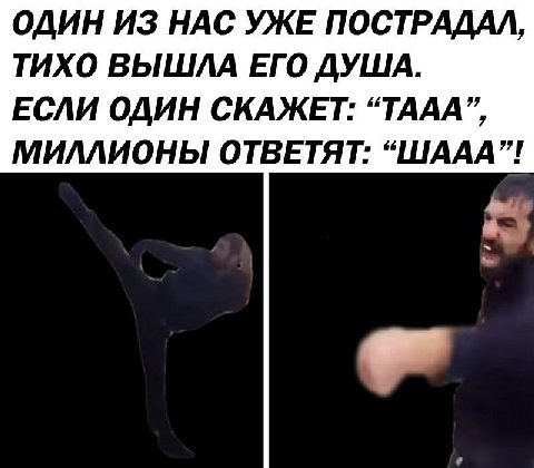 ОДИН ИЗ НАС УЖЕ ПОСТРАДАЛ, ТИХО ВЫШЛА ЕГО ДУША. ЕСЛИ ОДИН СКАЖЕТ: “ТААА”, МИЛЛИОНЫ ОТВЕТЯТ: “ШААА”!