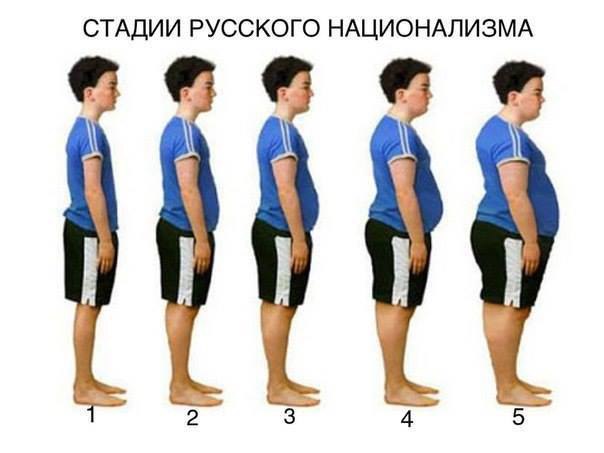 СТАДИИ РУССКОГО НАЦИОНАЛИЗМА 3 5
