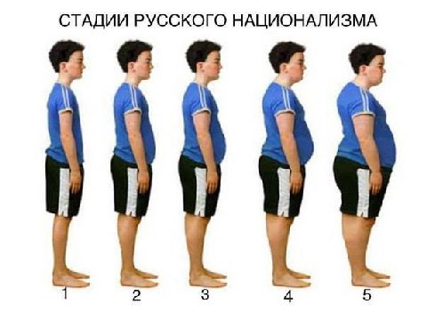 СТАДИИ РУССКОГО НАЦИОНАЛИЗМА 3 5