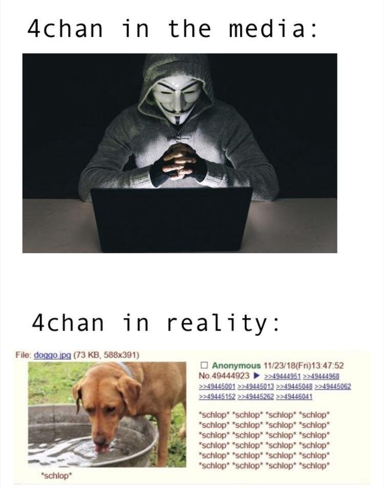 Achan in the media: 4chan in reality: File: doqgo.jpg (73 Anonymous №.49444923 >>49444951 >>49444968 >>49445001 >>49445013 >>49445048 >>49445062 4 >>49445152 >>49445262 >>49446041 “schiop” “schiop” “s