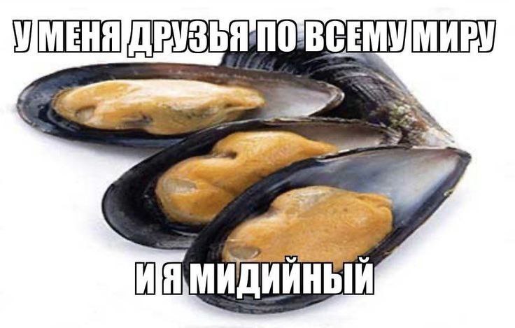 4 on 4 МИДИЙНЫЙ