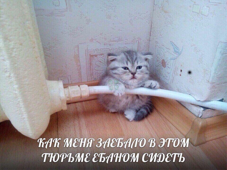 a МЕНЯ 8 ЭТОМ ТЮРЬМЕ EBAHOM