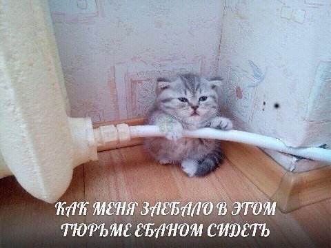 a МЕНЯ 8 ЭТОМ ТЮРЬМЕ EBAHOM