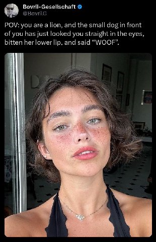 POV: you are а Поп, and the small dog front of you has just looked you straight in the eyes, bitten her lower lip, and said