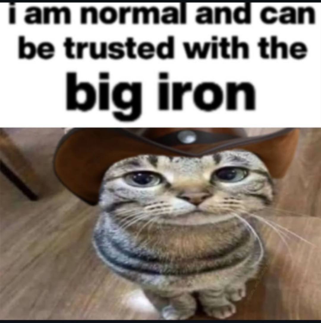 normé anc be trusted with the big iron