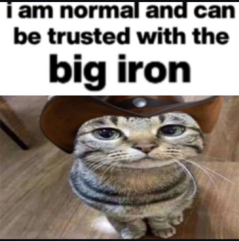 normé anc be trusted with the big iron