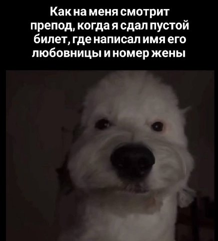Какнаменя смотрит препод, когдая сдал пустой билет, где написал имя его любовницы иномер жены