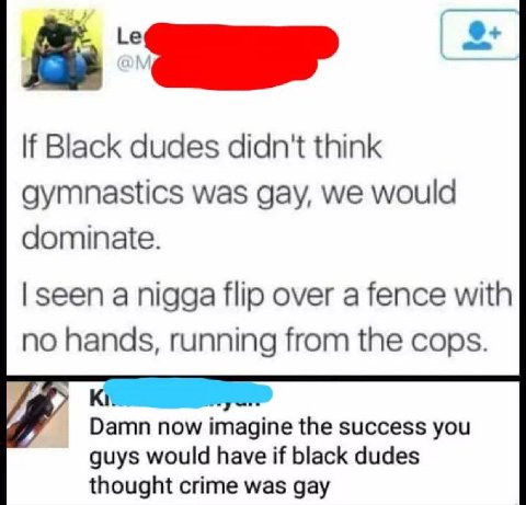 Black dudes didn't think gymnastics was gay, we would dominate seen a nigga flip over a fence with no hands from the cops Damn now imagine the success you guys would have if black dudes thought crime 