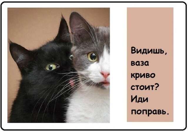 Видишь, ваза криво стоит? Иди поправь
