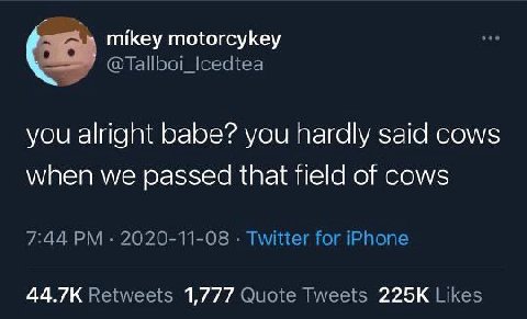 mikey motorcykey @Tallboi_Icedtea you alright babe? you hardly said cows when we passed that field of cows 7:44 2020-11-08 Twitter for iPhone Retweets 1,777 Quote Tweets Likes