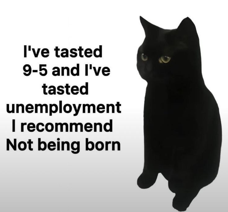 I've tasted 9-5 and I've tasted unemployment recommend Not being born