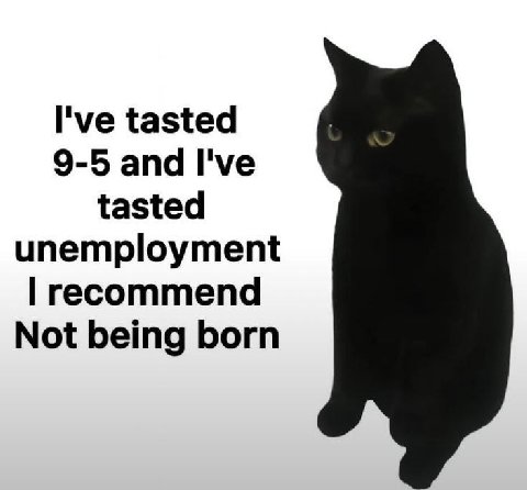 I've tasted 9-5 and I've tasted unemployment recommend Not being born