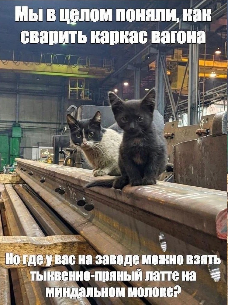 Мы в целом поняли, как сварить каркас вагона Hor, увас на заводе Можно ВЗЯТЬ тыквенно-пряный латте на миндальном молоке?