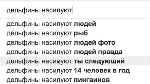 дельфины насилуют дельфины насилуют людей дельфины насилуют рыб дельфины насилуют людей фото дельфины насилуют людей правда дельфины насихуют ты следующий дельфины насилуют 14 человек в год дельфины н