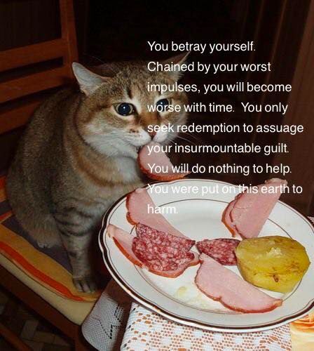 You betray yourself. Chained your worst impulses, you will become worse with time. You only redemption to assuage your insurmountable guilt. You will nothing to help. is earth to a