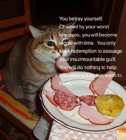 You betray yourself. Chained your worst impulses, you will become worse with time. You only redemption to assuage your insurmountable guilt. You will nothing to help. is earth to a