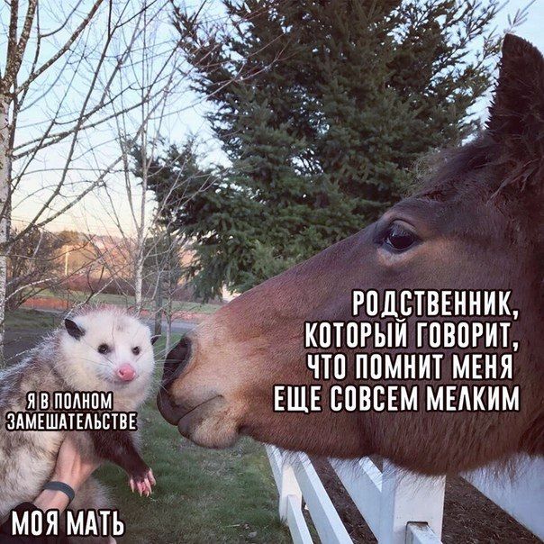 47. 14 SBE РОДСТВЕННИК, КОТОРЫЙ ГОВОРИТ, ЧТО ПОМНИТ МЕНЯ ЕЩЕ СОВСЕМ МЕЛКИМ МЕШАТЕЛЬСТВЕ МОЯ МАТЬ