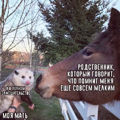 47. 14 SBE РОДСТВЕННИК, КОТОРЫЙ ГОВОРИТ, ЧТО ПОМНИТ МЕНЯ ЕЩЕ СОВСЕМ МЕЛКИМ МЕШАТЕЛЬСТВЕ МОЯ МАТЬ