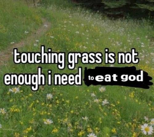 touching grass is enough ineed god