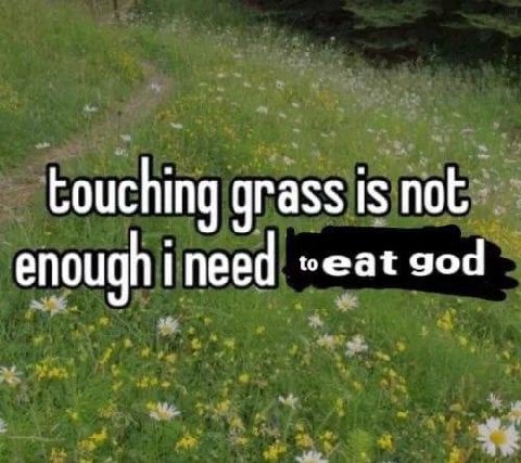 touching grass is enough ineed god