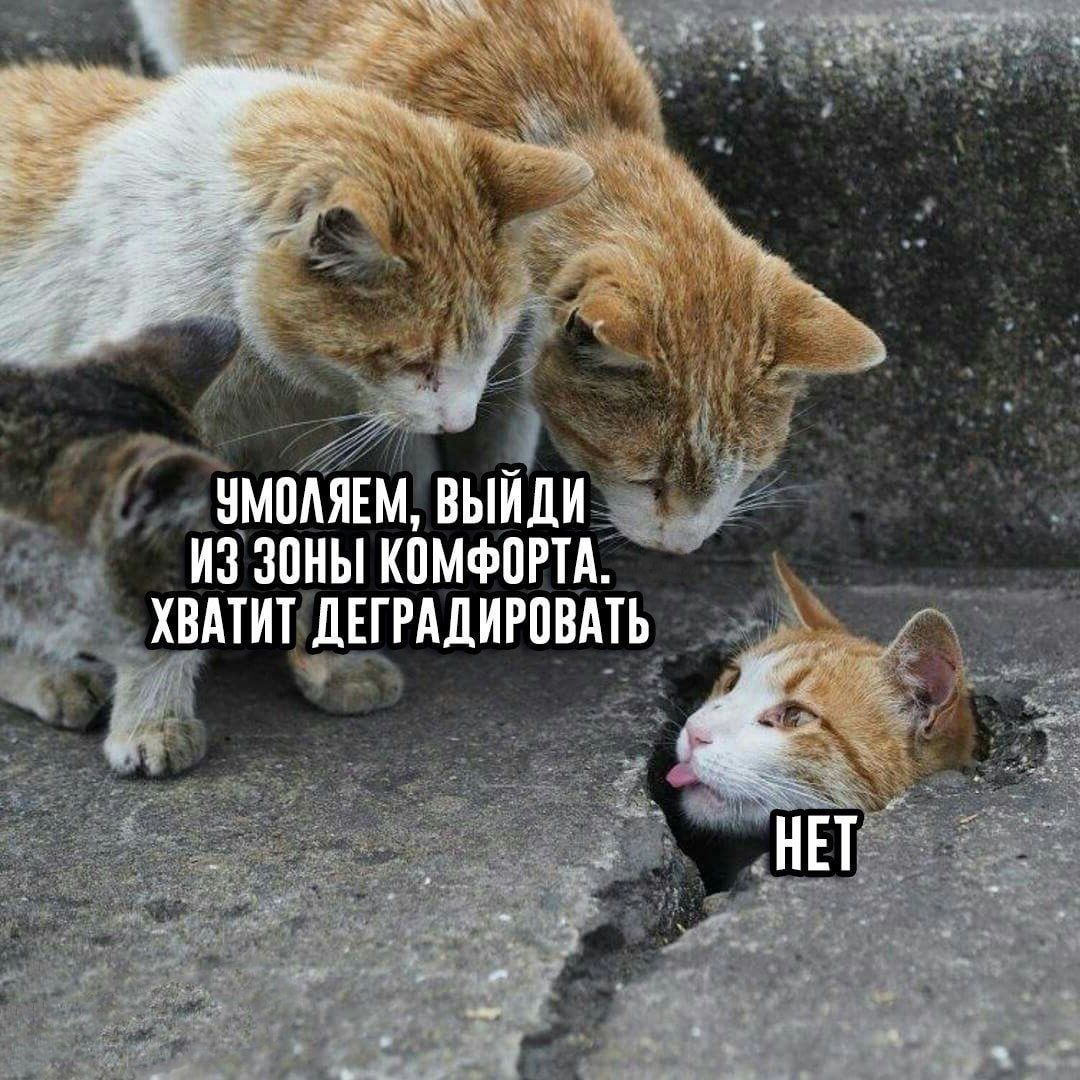 УМОЛЯЕМ, ВЫЙДИ ИЗ ЗОНЫ КОМФОРТА. ХВАТИТ ДЕГРАДИРОВАТЬ НЕТ