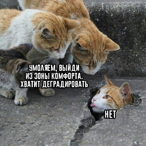 УМОЛЯЕМ, ВЫЙДИ ИЗ ЗОНЫ КОМФОРТА. ХВАТИТ ДЕГРАДИРОВАТЬ НЕТ