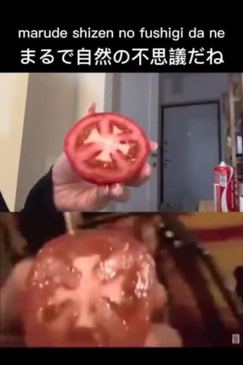 tomato wo kittara purorokku sanboi marude shizen no fushigi da ne tabenakya ikenai shi