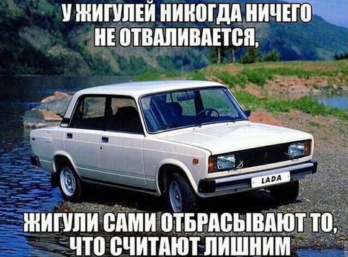 🐺