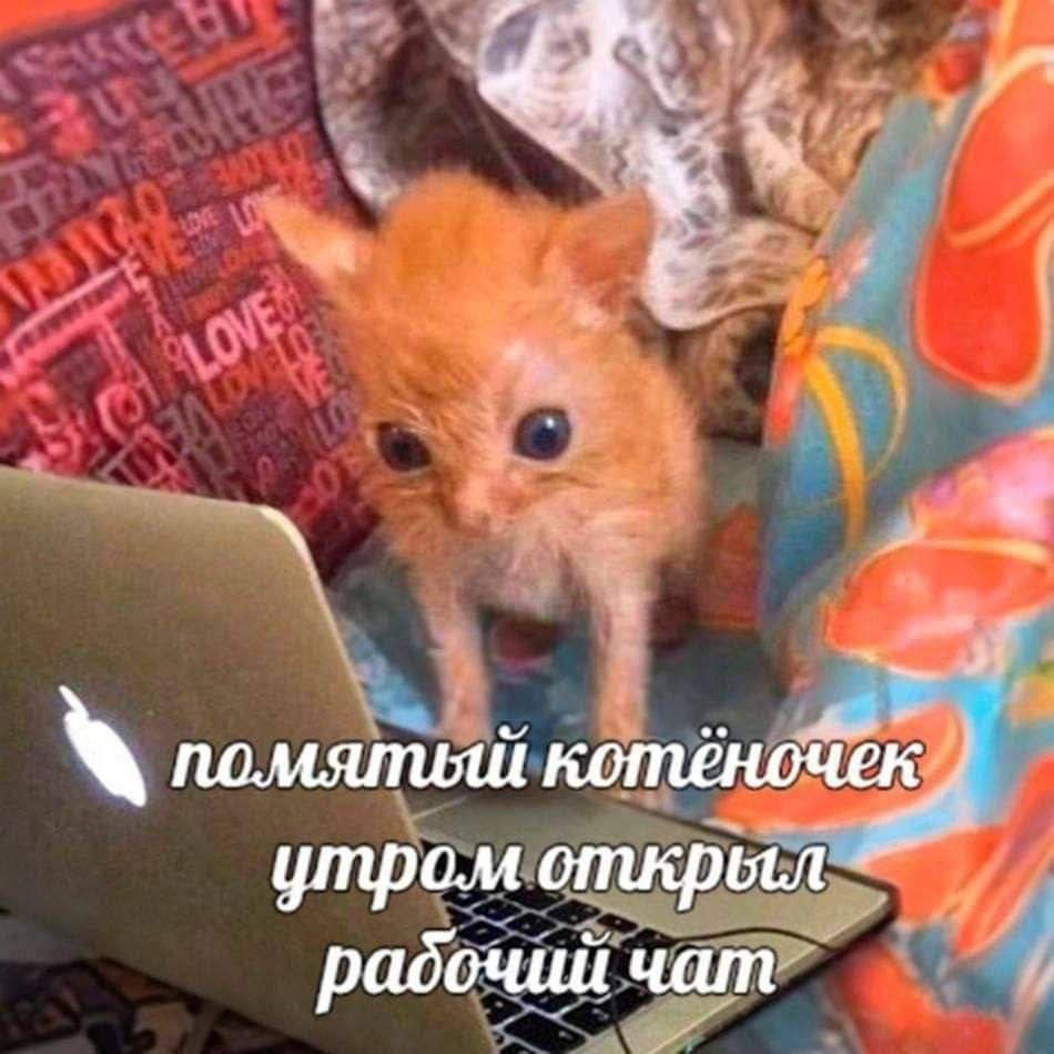 4 помяпияй к/ утром открыл радочий чат