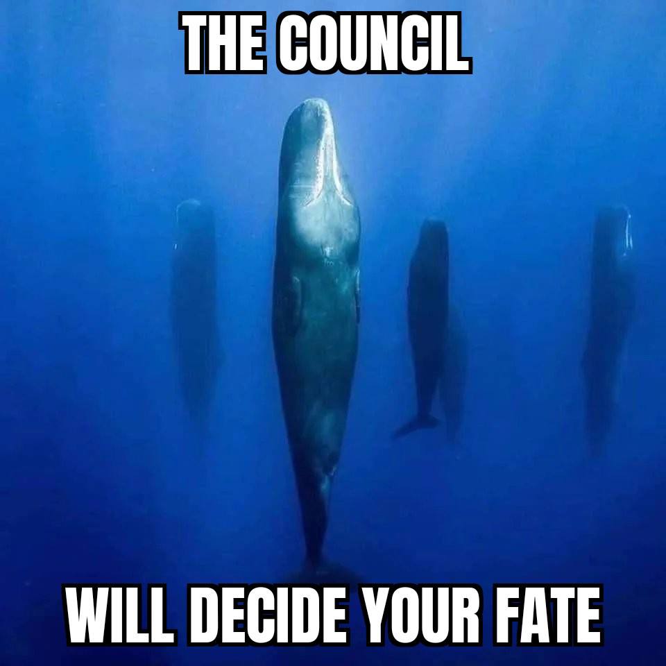 THE COUNCIL WILL DECIDE YOUR FATE