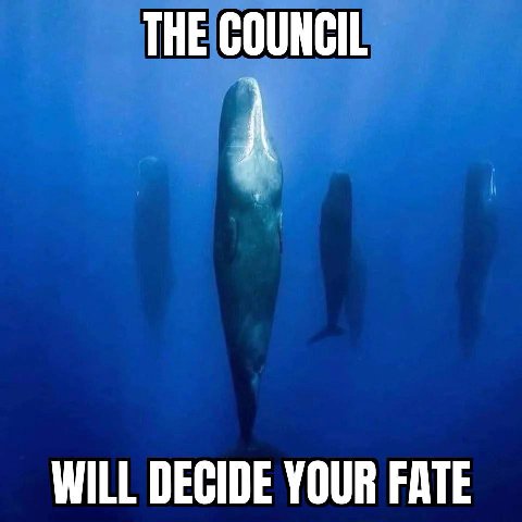 THE COUNCIL WILL DECIDE YOUR FATE