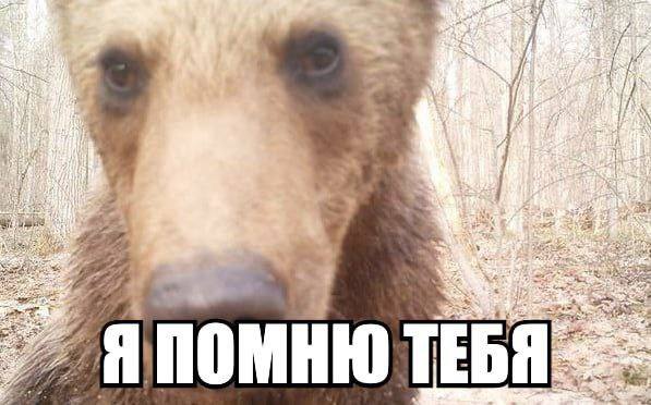 Десятки людей с которыми я общалась вконтакте