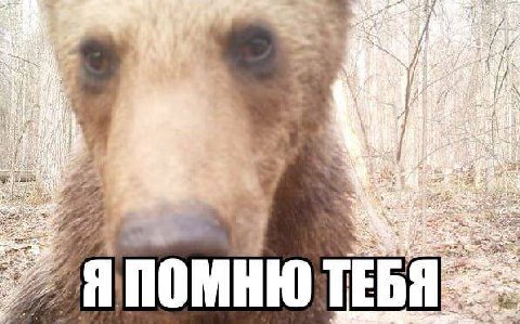 Десятки людей с которыми я общалась вконтакте