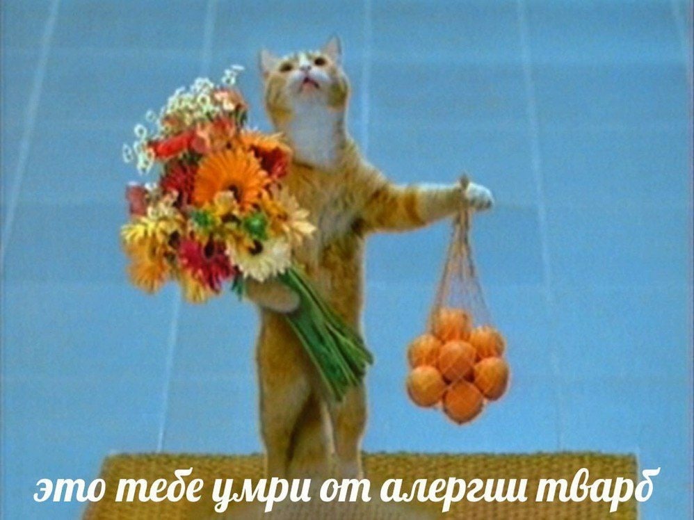 3° это тебе умри алергии твард