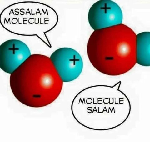 ASSALAM MOLECULE OLECULE SALAM