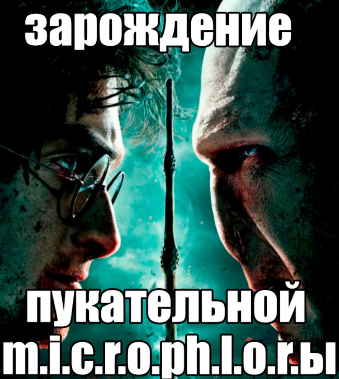 зарождение 4 пукательной