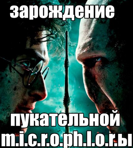зарождение 4 пукательной