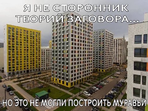 Я ННИК и ЗА ГОВОРА НО ЭТО НЕ МОГЛИ ПОСТРОИТЬ МУРАВЬИ