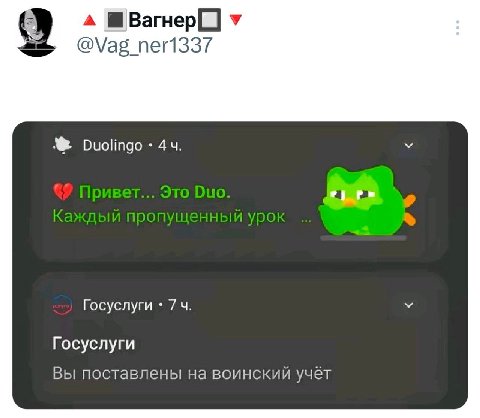 a у ©@\/а5_пег1337 44. у ропущ урок Госуслуги 74. у Госуслуги Вы поставлены на воинский учёт