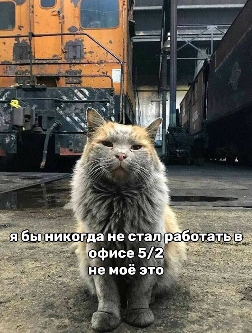8 i i> бы. никогда не стал в. „офисе немое это