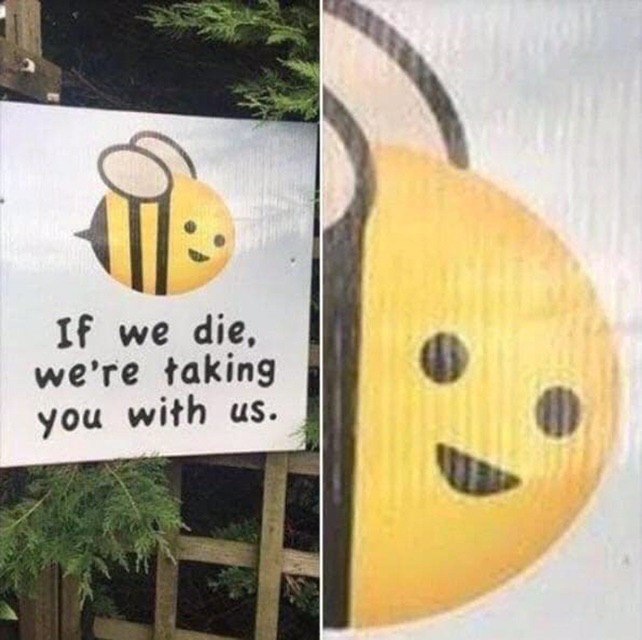 If we die, taking you with