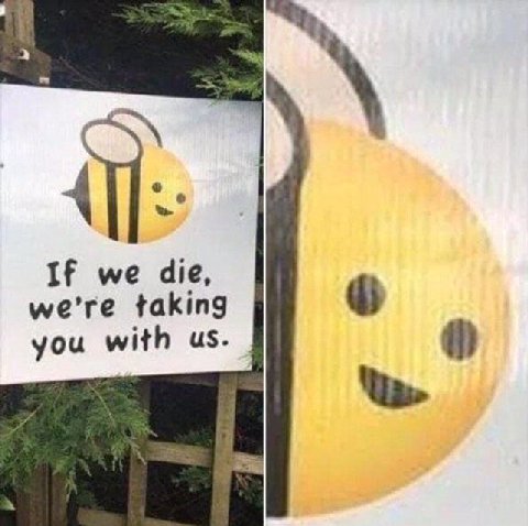 If we die, taking you with