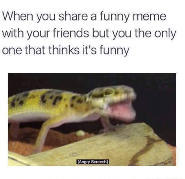 When you share a funny meme with your friends but you the only one that thinks it's funny [Angry Screech]