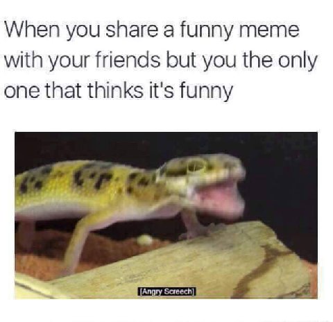 When you share a funny meme with your friends but you the only one that thinks it's funny [Angry Screech]
