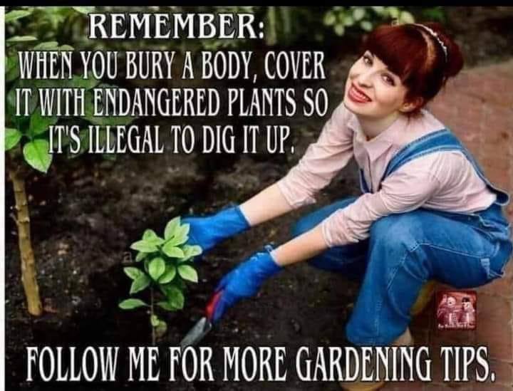 КЕМЕМВЕК YOU BURY A BODY, COVER IT WITH ENDANGERED PLANTS 50 ILLEGAL DIG IT UP FOLLOW ME FOR MORE GARDENING TIPS 3