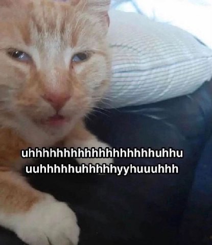 uhhhhhhhhhhhhhhhhhhuhhu uuhhhhhuhhhhhyyhuuuhhh