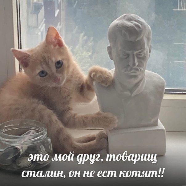 это мой друг, товариш сталин, он не ест